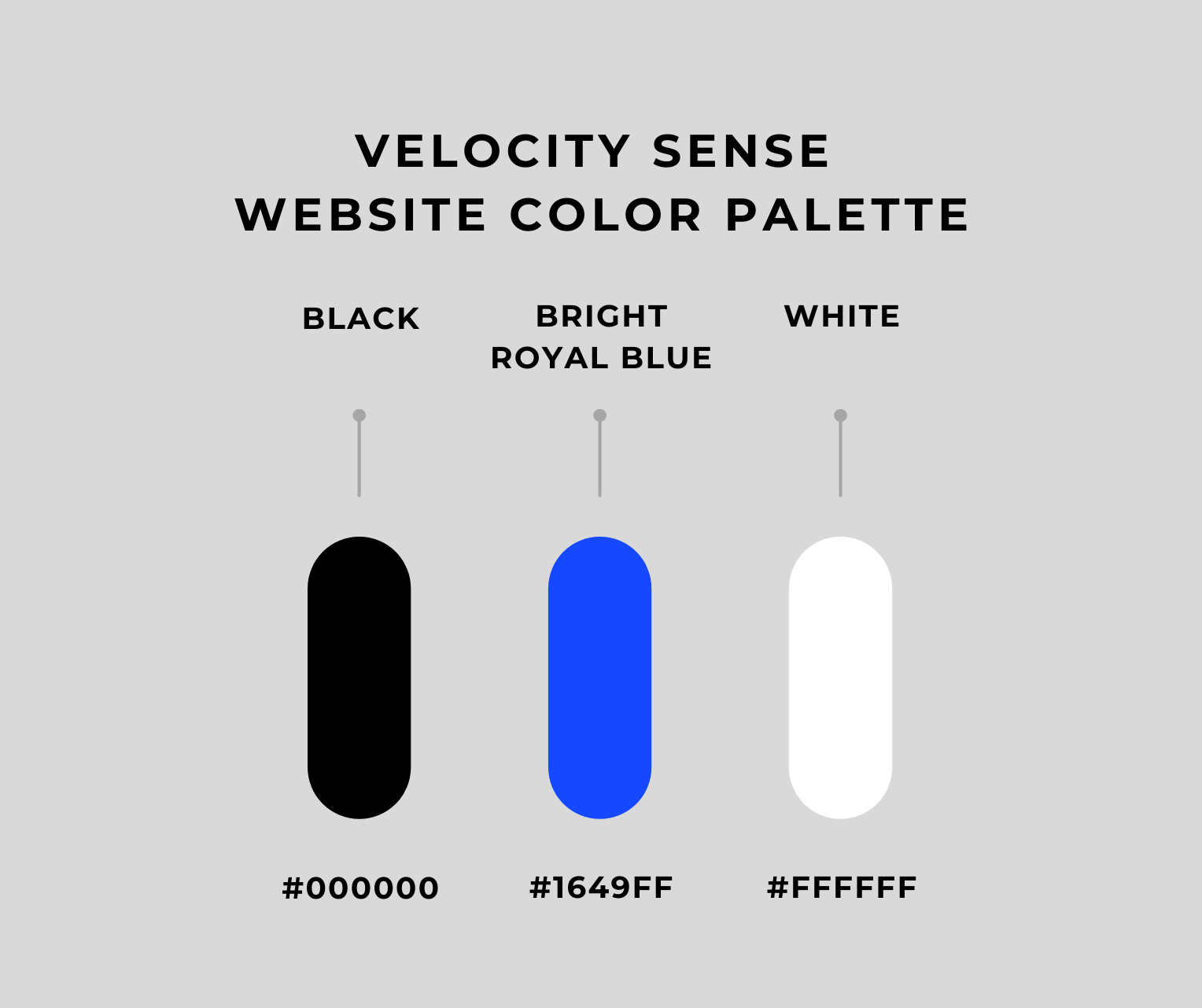 Color Palette Moodboard VELOCITY SENSE